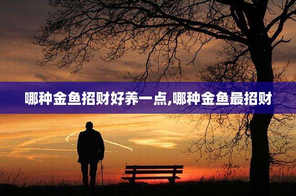 哪种金鱼招财好养一点,哪种金鱼最招财