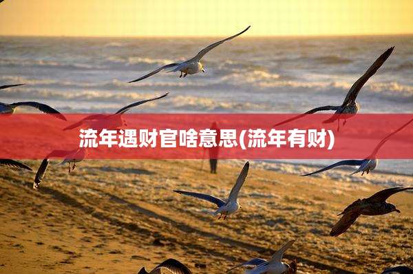 流年遇财官啥意思(流年有财)