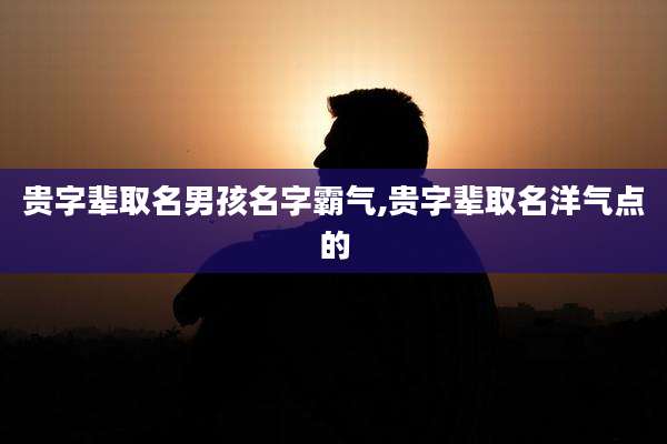 贵字辈取名男孩名字霸气,贵字辈取名洋气点的