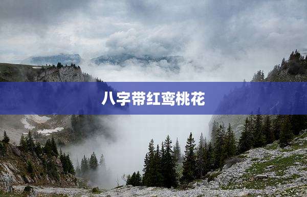 八字带红鸾桃花