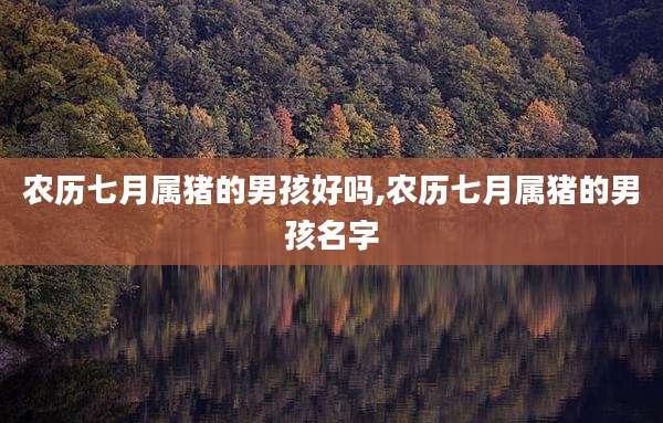 农历七月属猪的男孩好吗,农历七月属猪的男孩名字