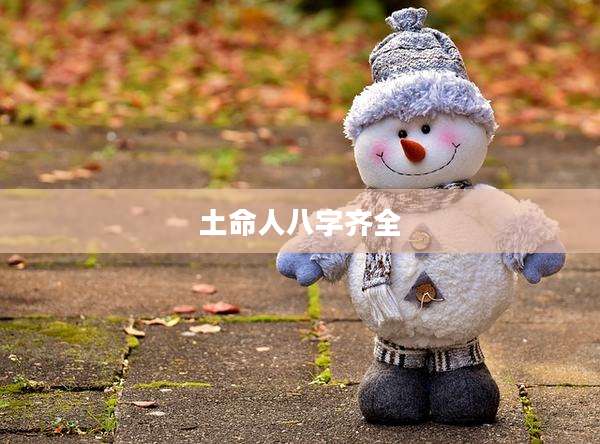 土命人八字齐全