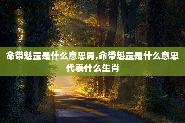 命带魁罡是什么意思男,命带魁罡是什么意思代表什么生肖