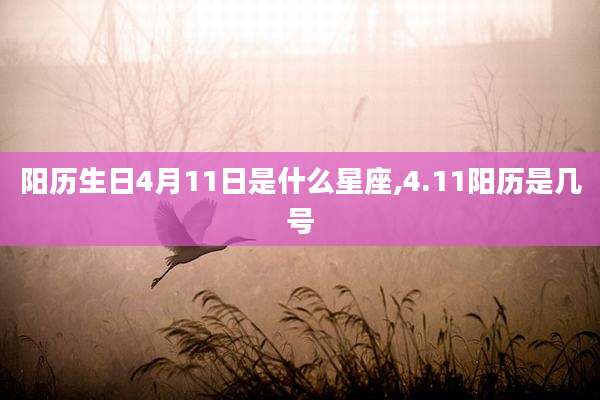 阳历生日4月11日是什么星座,4.11阳历是几号