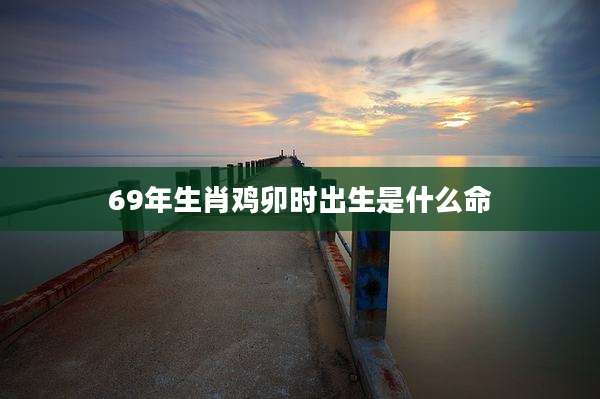 69年生肖鸡卯时出生是什么命