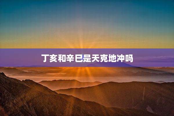 丁亥和辛巳是天克地冲吗