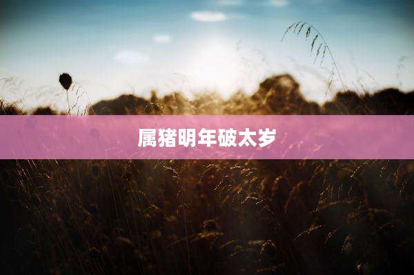 属猪明年破太岁