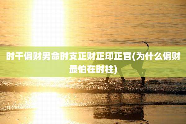 时干偏财男命时支正财正印正官(为什么偏财最怕在时柱)