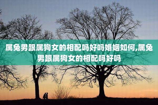 属兔男跟属狗女的相配吗好吗婚姻如何,属兔男跟属狗女的相配吗好吗