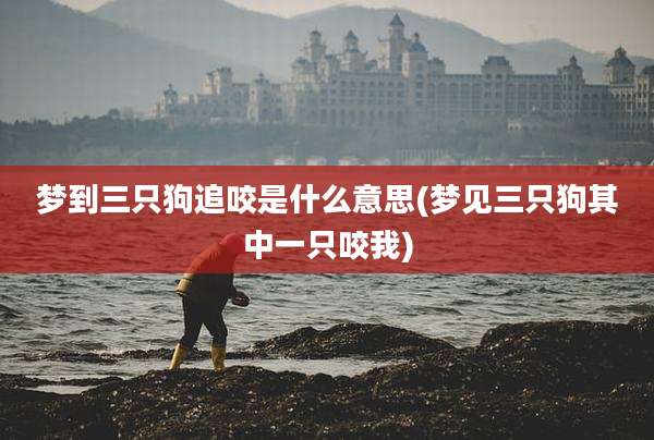 梦到三只狗追咬是什么意思(梦见三只狗其中一只咬我)