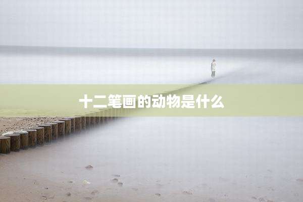十二笔画的动物是什么