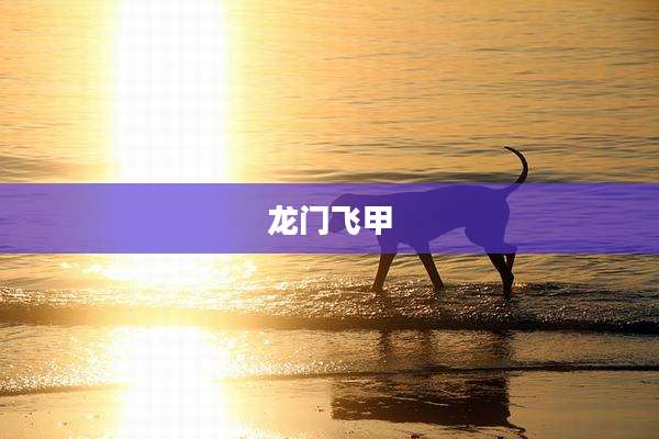 龙门飞甲