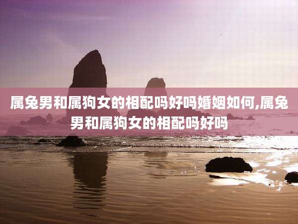 属兔男和属狗女的相配吗好吗婚姻如何,属兔男和属狗女的相配吗好吗