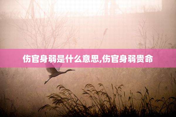 伤官身弱是什么意思,伤官身弱贵命