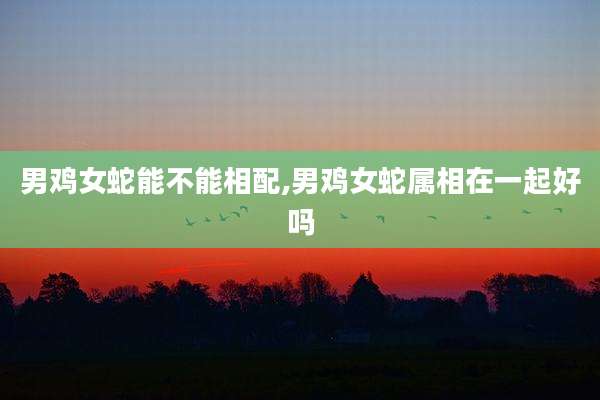 男鸡女蛇能不能相配,男鸡女蛇属相在一起好吗