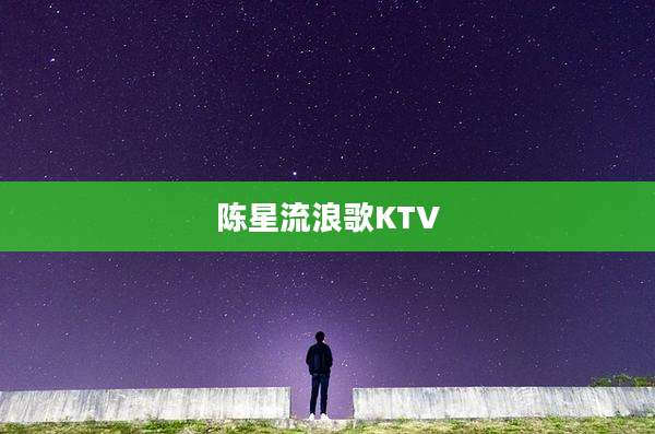 陈星流浪歌KTV