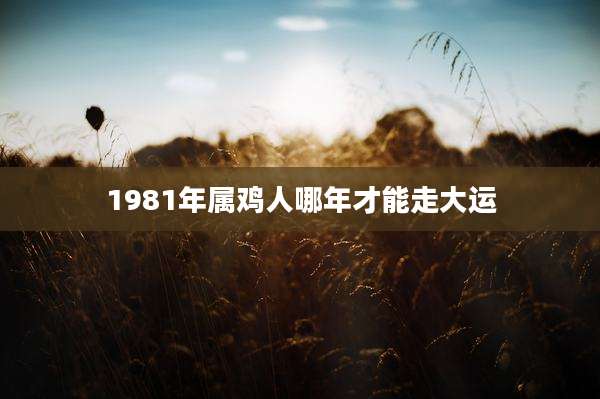 1981年属鸡人哪年才能走大运