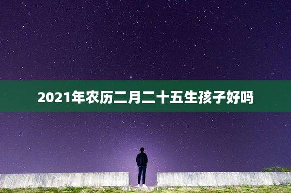 2021年农历二月二十五生孩子好吗