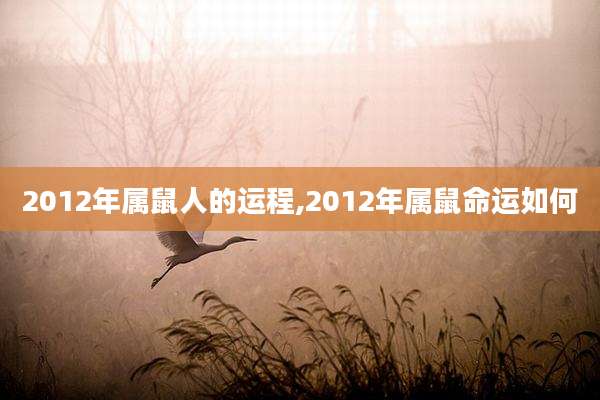 2012年属鼠人的运程,2012年属鼠命运如何