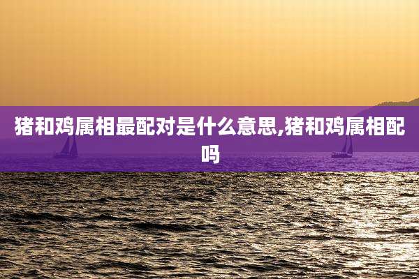 猪和鸡属相最配对是什么意思,猪和鸡属相配吗