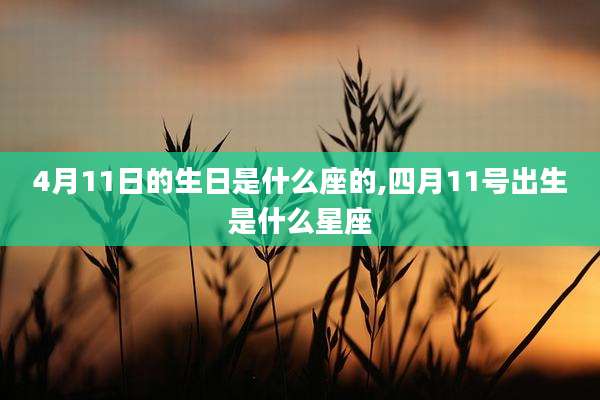 4月11日的生日是什么座的,四月11号出生是什么星座