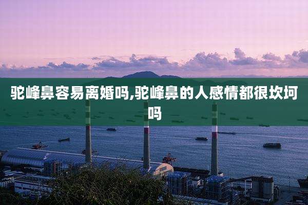 驼峰鼻容易离婚吗,驼峰鼻的人感情都很坎坷吗