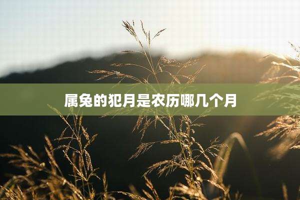 属兔的犯月是农历哪几个月