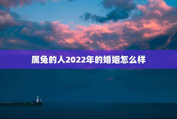 属兔的人2022年的婚姻怎么样
