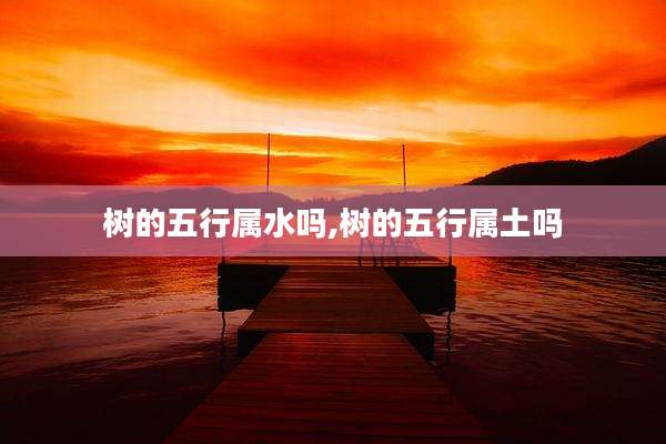树的五行属水吗,树的五行属土吗