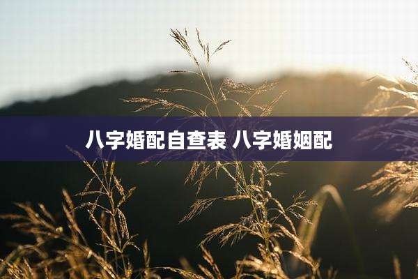 八字婚配自查表 八字婚姻配