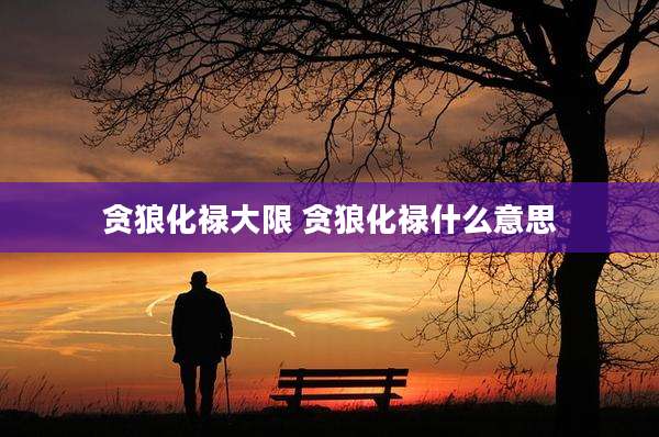贪狼化禄大限 贪狼化禄什么意思