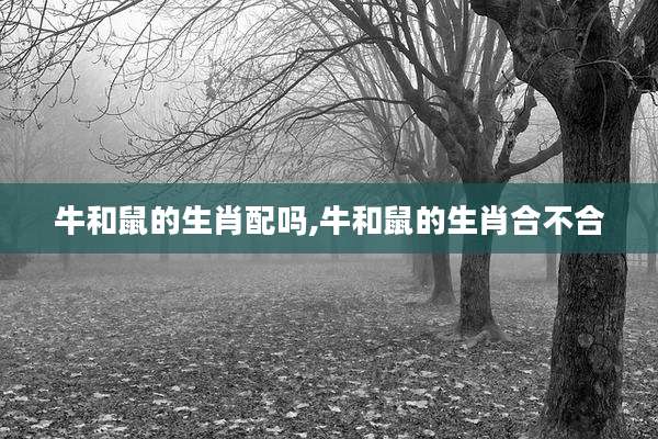 牛和鼠的生肖配吗,牛和鼠的生肖合不合