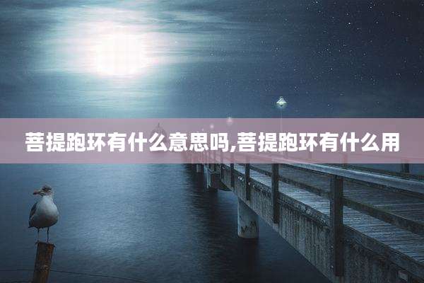 菩提跑环有什么意思吗,菩提跑环有什么用