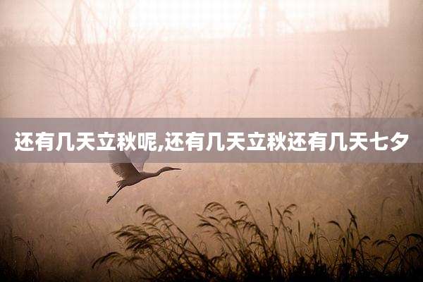 还有几天立秋呢,还有几天立秋还有几天七夕