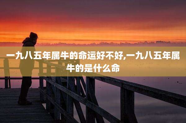 一九八五年属牛的命运好不好,一九八五年属牛的是什么命