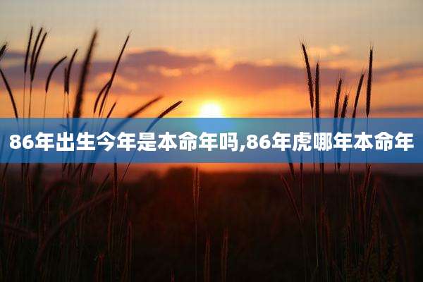 86年出生今年是本命年吗,86年虎哪年本命年
