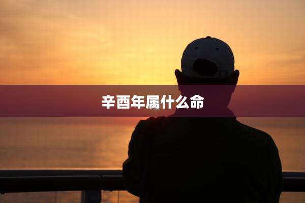 辛酉年属什么命