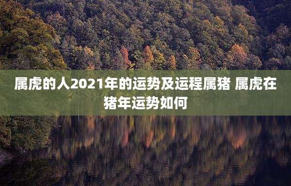 属虎的人2021年的运势及运程属猪 属虎在猪年运势如何
