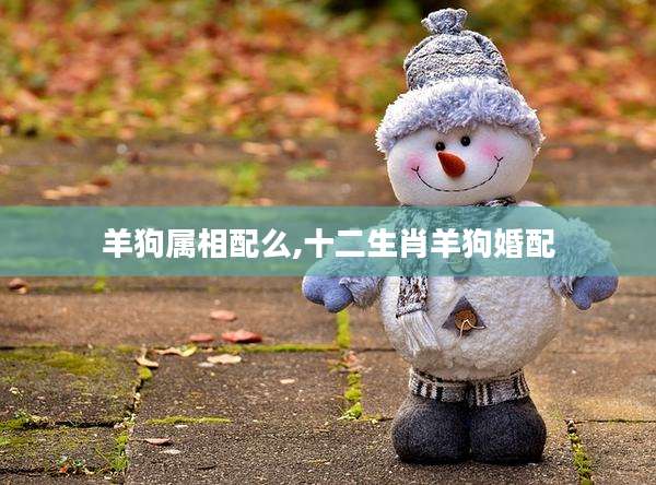 羊狗属相配么,十二生肖羊狗婚配
