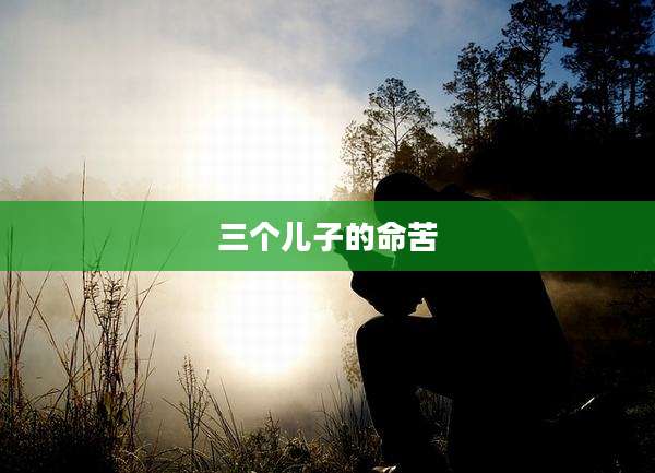 三个儿子的命苦