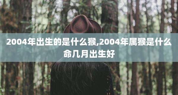 2004年出生的是什么猴,2004年属猴是什么命几月出生好