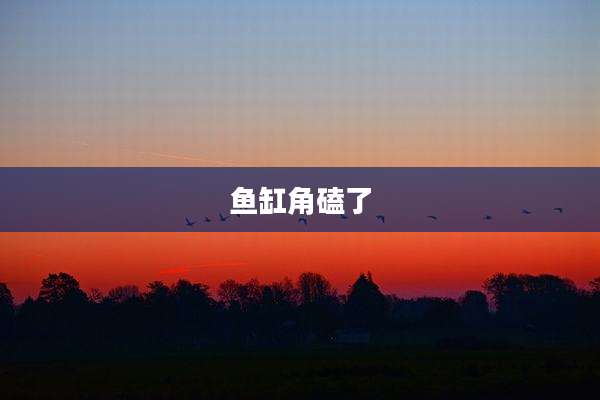 鱼缸角磕了