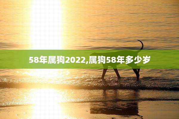 58年属狗2022,属狗58年多少岁