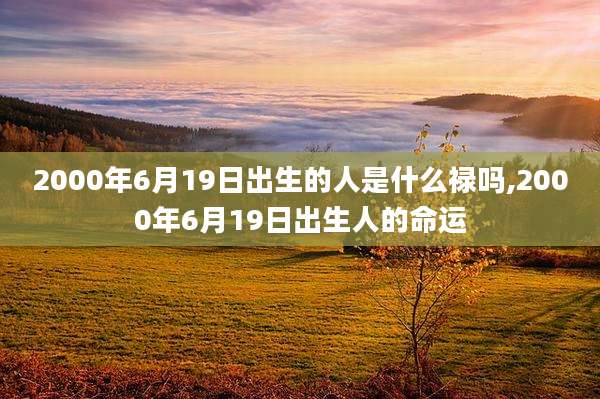2000年6月19日出生的人是什么禄吗,2000年6月19日出生人的命运