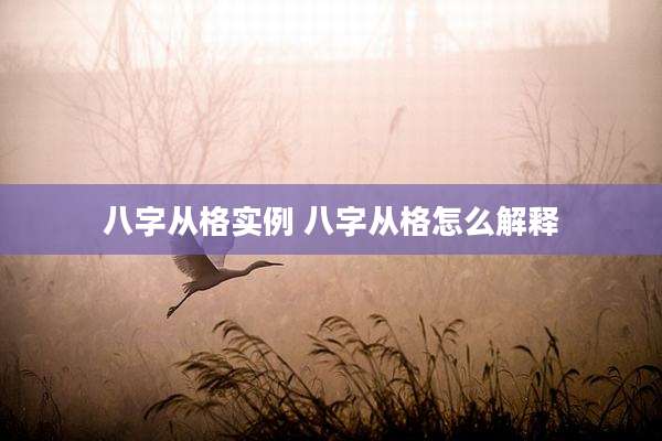 八字从格实例 八字从格怎么解释