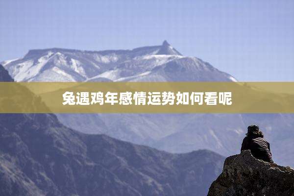 兔遇鸡年感情运势如何看呢