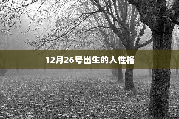 12月26号出生的人性格