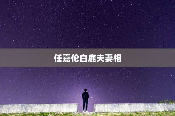 任嘉伦白鹿夫妻相