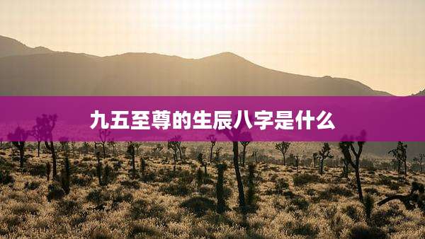 九五至尊的生辰八字是什么