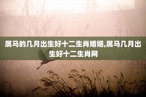 属马的几月出生好十二生肖婚姻,属马几月出生好十二生肖网